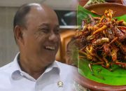 Kepala BGN Sebut Serangga Bisa Menjadi Menu Makan Siang Gratis