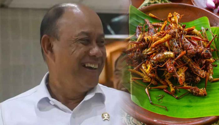 Kepala BGN Sebut Serangga Bisa Menjadi Menu Makan Siang Gratis