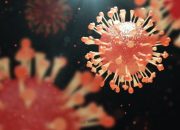 Merebaknya Virus HMPV di China, Kemenkes Imbau Masyarakat Waspada