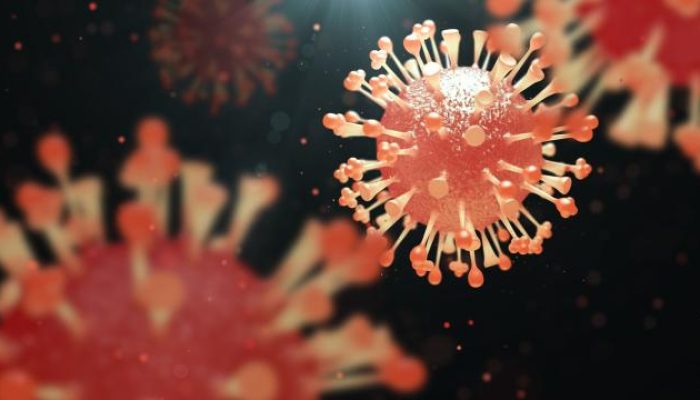 Merebaknya Virus HMPV di China, Kemenkes Imbau Masyarakat Waspada
